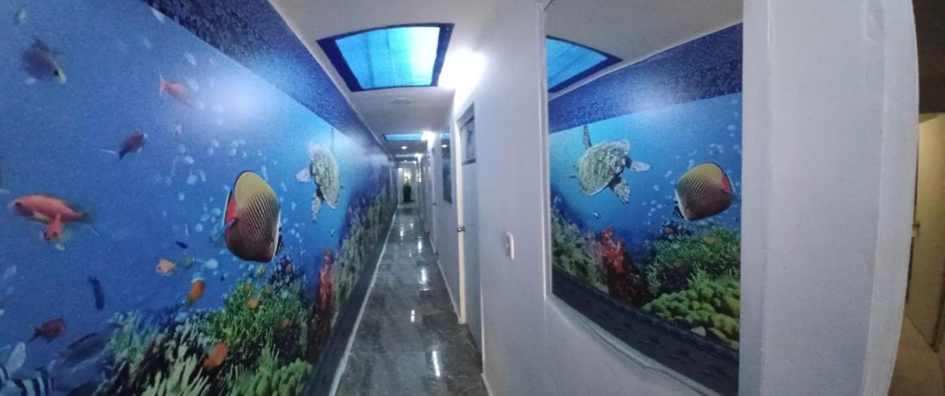 Hotel Dmauro — Fotos 1
