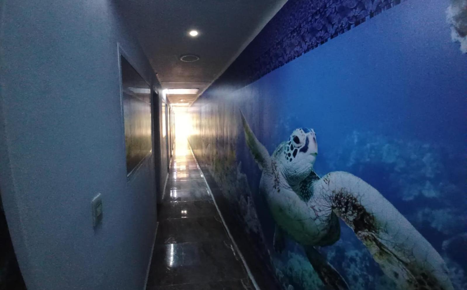 Hotel Dmauro — Fotos 2