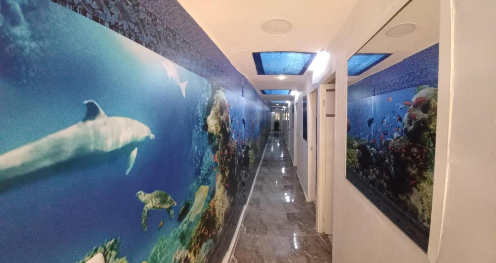 Hotel Dmauro — Fotos 3